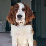 Ersteller:in Bernd Profilbild