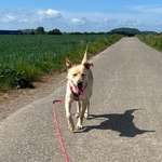 Ersteller:in Fabienne Profilbild