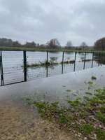 Hundeauslaufgebiet-Wildeshausen-Bild