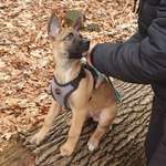 Ersteller:in Patrick Profilbild