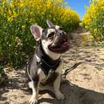 Ersteller:in Pinar Profilbild