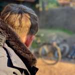 Ersteller:in Marvin Profilbild