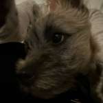 Ersteller:in Nicky Profilbild