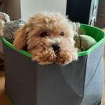 Ersteller:in Irina Profilbild