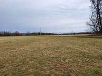 Hundeauslaufgebiet-Borstig-Bild