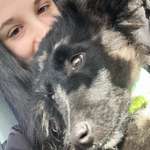 Ersteller:in Svea Profilbild