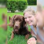 Ersteller:in Hornbergs Profilbild