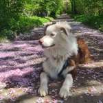 Ersteller:in Phillip Profilbild