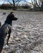 Feuertanz nach Spaziergang am Niehler Hafen-Beitrag-Bild