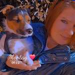 Ersteller:in Tessa Profilbild