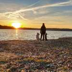 Ersteller:in Anca Profilbild