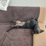 Ersteller:in Doris Profilbild