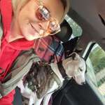 Ersteller:in Schake Profilbild