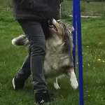 Ersteller:in Indian Profilbild