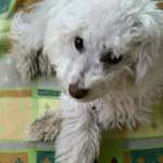 Ersteller:in Mary Profilbild