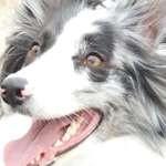 Ersteller:in Cindy Profilbild