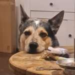 Ersteller:in Seline Profilbild