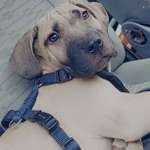 Ersteller:in Svenja Profilbild