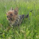 Ersteller:in Daniela Profilbild