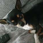 Ersteller:in Melanie Profilbild