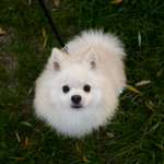 Ersteller:in Lisa Profilbild