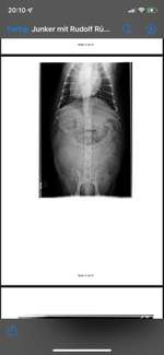 3 Tierärzte keine Diagnose-Beitrag-Bild