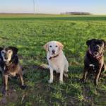 Ersteller:in Kristin Profilbild