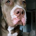 Ersteller:in Chiara Profilbild