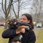 Ersteller:in Lara-Joy Profilbild