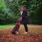 Ersteller:in Yara-Sofie Profilbild