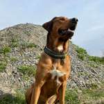 Ersteller:in Peggy Profilbild