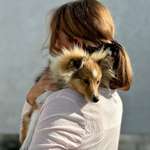 Ersteller:in Ina Profilbild