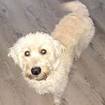 Ersteller:in Monika Profilbild