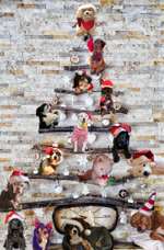 Unsere Nikolaus-Collage(n) sind fertig ....-Beitrag-Bild