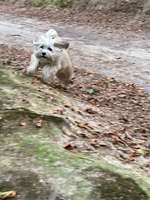 Un...scharf Bilder-Beitrag-Bild