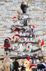 Unsere Nikolaus-Collage(n) sind fertig ....-Beitrag-Bild