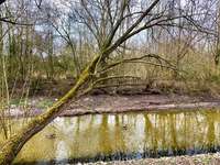 Hundeauslaufgebiet-An der Stever-Bild