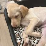 Ersteller:in Sinem Profilbild