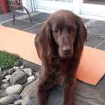 Ersteller:in Lisa Profilbild