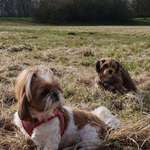 Ersteller:in Andrea Profilbild