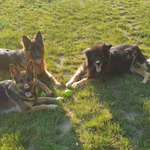 Ersteller:in Michael Profilbild