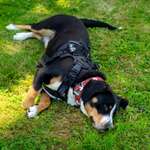 Ersteller:in Michelle Profilbild