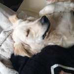 Ersteller:in Melanie Profilbild