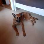 Ersteller:in Sascha Profilbild