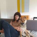 Ersteller:in Katja Profilbild