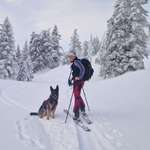 Ersteller:in Kristin Profilbild