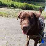 Ersteller:in Tobias Profilbild