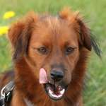 Ersteller:in Katharina Profilbild