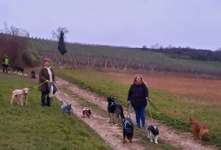 Hundeauslaufgebiet-Streuobstwiese-Bild