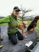 Hundeauslaufgebiet-Streuobstwiese-Bild
